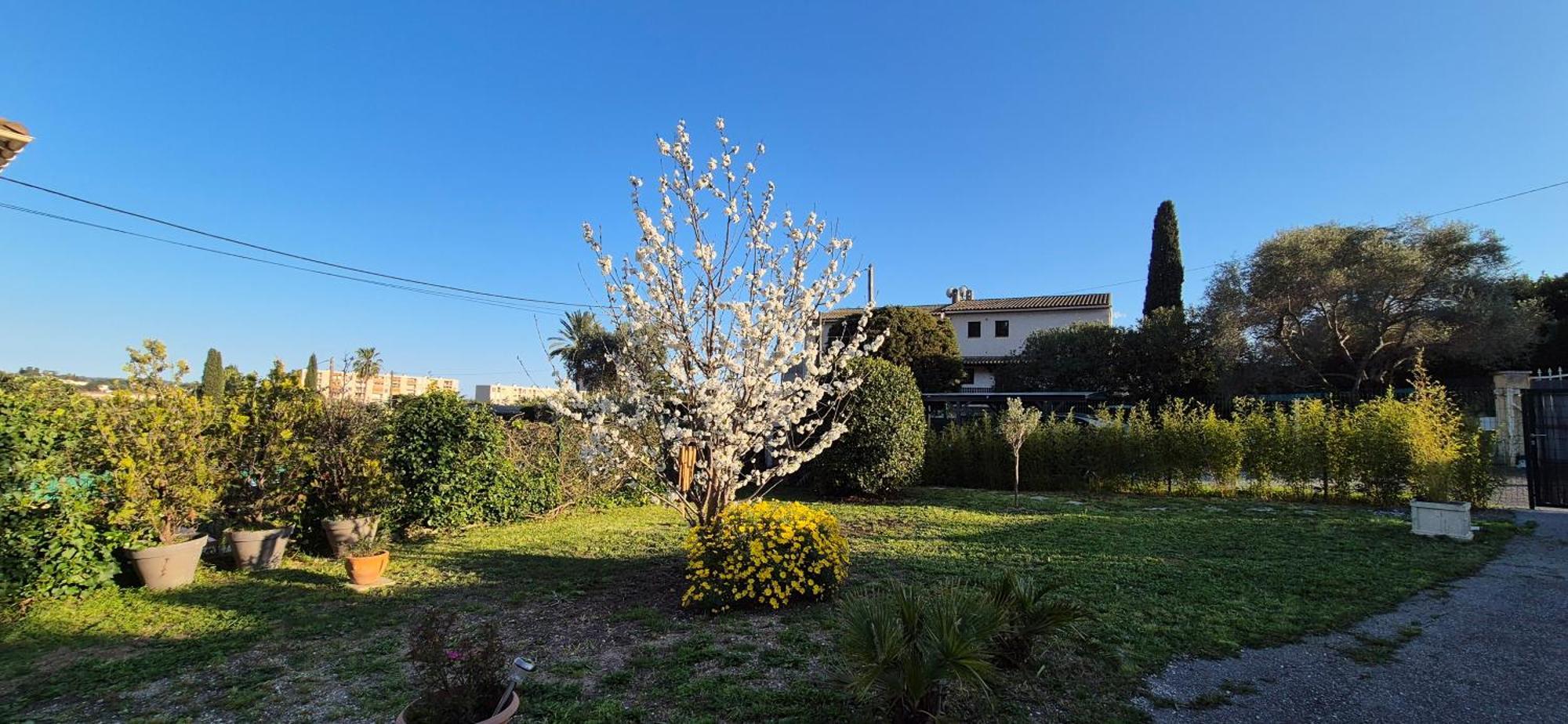 Studio Independant Avec Terrasse A Juan Les Pins Antibes Extérieur photo